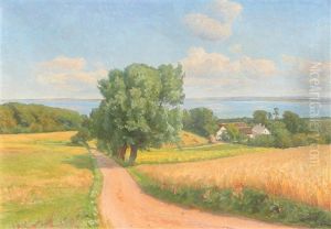 Island Of Zeeland
