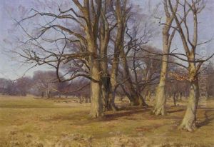 Deer Grazing In A Sunlit Wooded Landscape by Peder Klitz