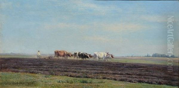 Plowing - view 1