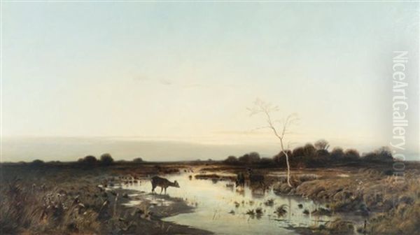 Paysage Aux Biches - view 1