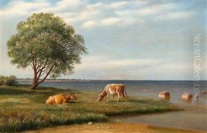 Cows By The Shore