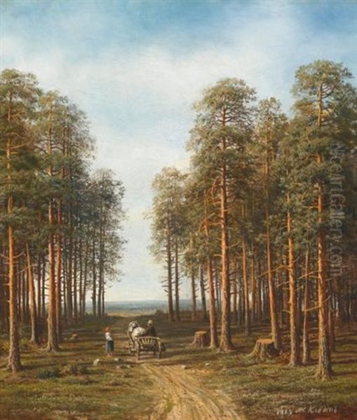 Path Through The Pine Forest - view 1