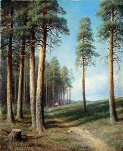 Weg Am Waldrand Weg Am Waldrand