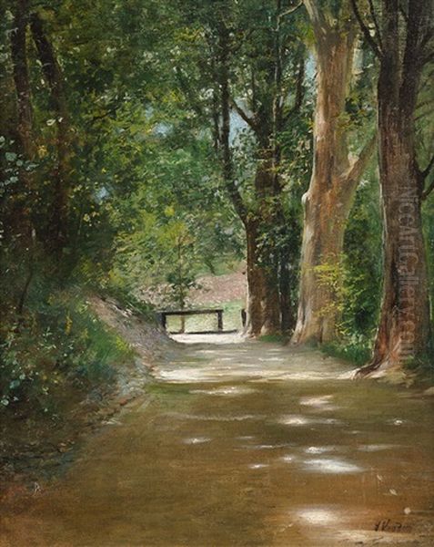 Allee Im Park - view 1