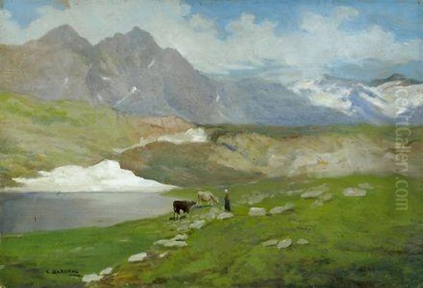 Alpi Carniche - view 1