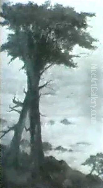 Solitude, Cypess De Montery - view 1