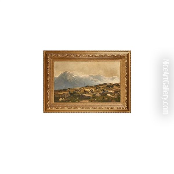 Untitled (sheep In Landscape) - view 1