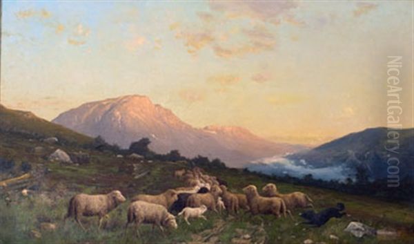 Sheep In Mountainous Landscape - view 1