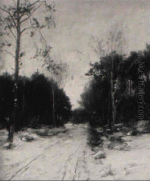 The Snowy Road: An Upstate New York View - view 1