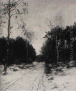 The Snowy Road: An Upstate New York View by Robert Kluth