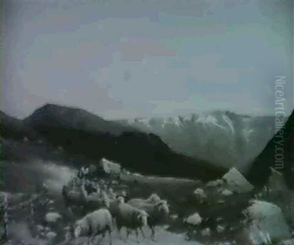 Norwegische Landschaft Mit Schafherde - view 1