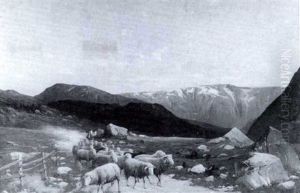 Norwegisches Hochland Im Abendsonnenschein by Robert Kluth