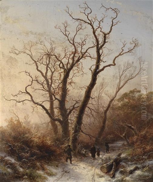 Spaziergang Im Winterwald - view 1
