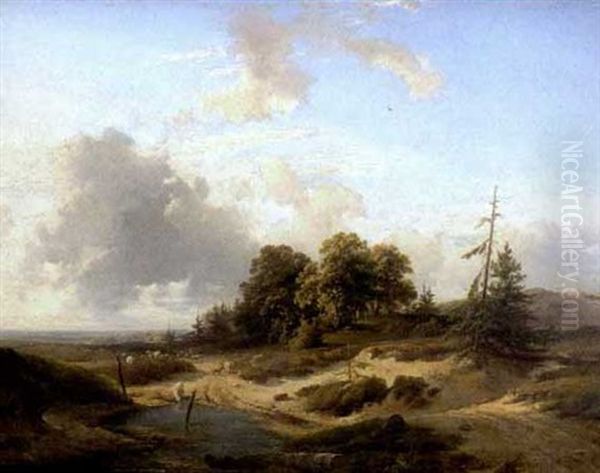 Baumlandschaft An Einem Gewasser, Von Dem Sich Gerade Eine Schafherde Entfernt - view 1