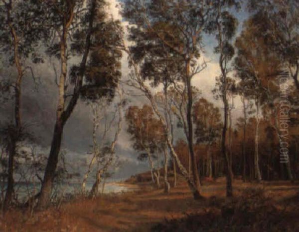 A Winter Wooded Landscape - view 1