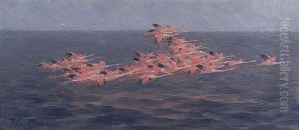 Flamingos Above The Mediterranean Sea - view 1