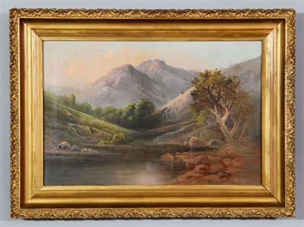 Rural Landscape - view 1