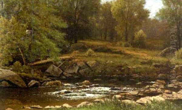 View Of A Forest Clearing And Brook - view 1