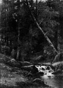 Woodland Interior, Autumn Woodland Interior, Autumn
