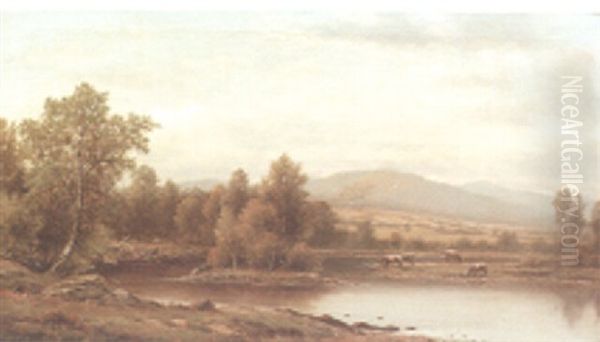 Cows Grazing By The Water - view 1