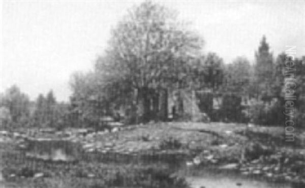 House With Stream Of Ducks - view 1