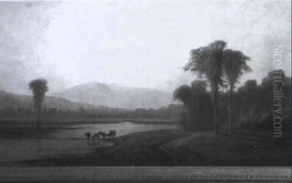 Cows Watering Along A River - view 1
