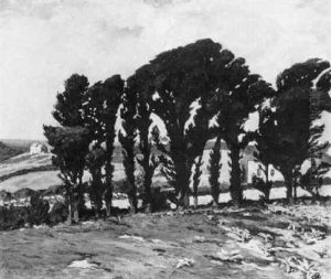 Groupe D'arbres Groupe D'arbres