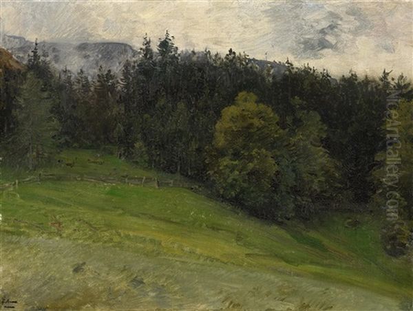 Waldstudie - view 1