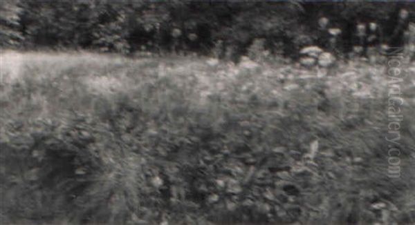 Wiesenstuck Mit Bluhenden Blumen - view 1