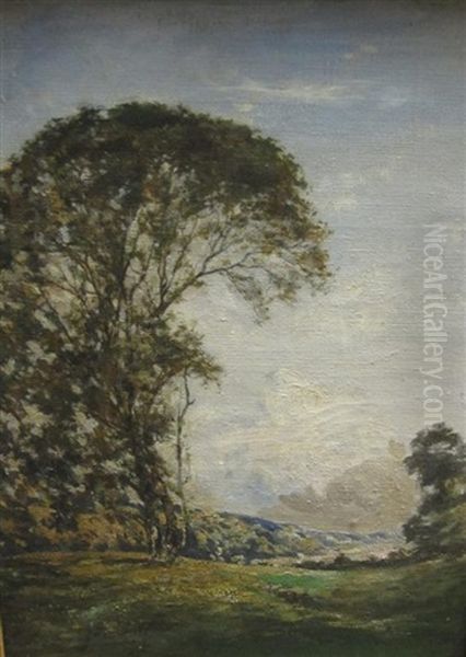 A Landscape With Trees - view 1