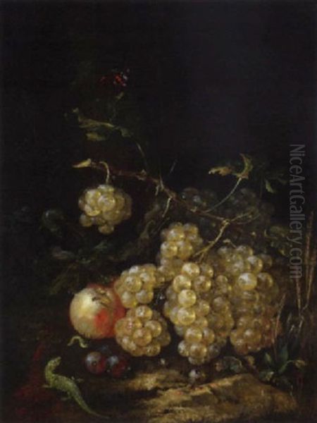 A Still Life With Grapes On A Forest Ground - view 1