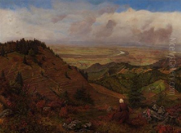 Blick Von Den Hohen Des Schwarzwaldes Auf Die Rheinebene - view 1