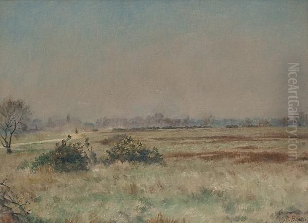 A View Of A Heath - view 1