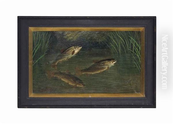 Trout In A River - view 1