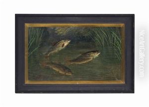 Trout In A River by A. Roland Knight
