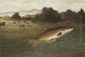 A Brown Trout Jumping (+ The Days Catch With A Creel; Pair) by A. Roland Knight