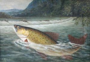 Rainbow Trout On The Fly And In The Net (+ Another; Pair) by A. Roland Knight