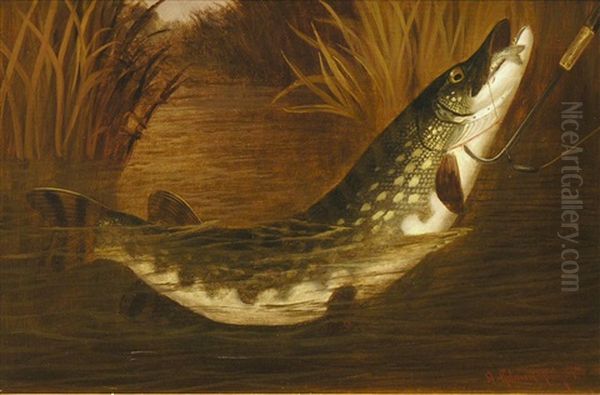 Hecht Mit Koderfisch In Uferlandschaft - view 1
