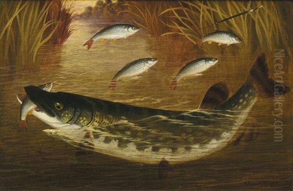 Hecht Mit Rotfedern Und Koderfisch In Uferlandschaft - view 1