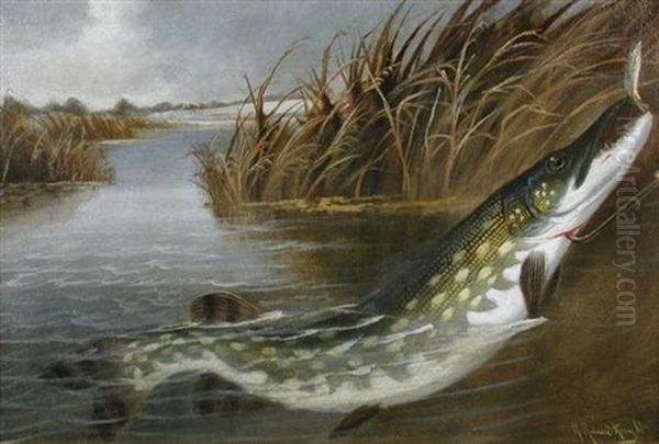 Gaffed Pike - view 1