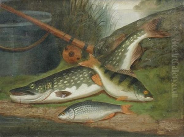 The Catch - view 1