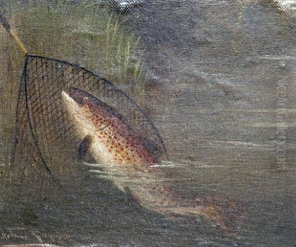 Trout Fishing - view 1