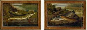 The Day's Catch (pair)