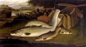 On The Banks Of The Tweed, Salmon, Salmon Trout, Lake Trout by A. Roland Knight
