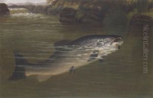 A Hooked Salmon by A. Roland Knight