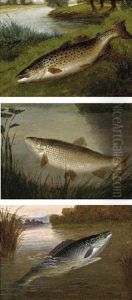 A Grayling From The Pied Bull Stream, St. Nugent, Hertfordshire