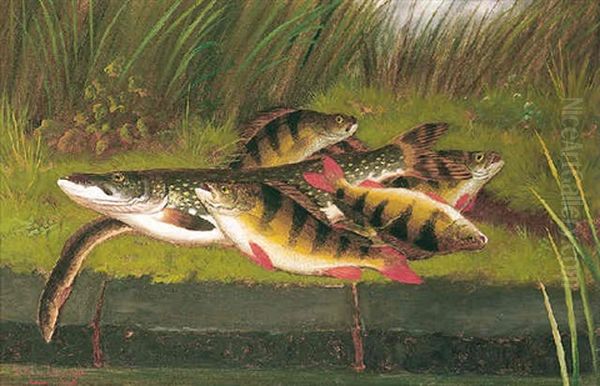 Perch And Pike - view 1
