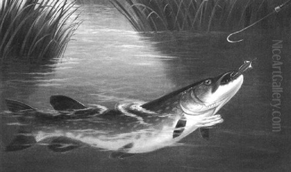 Hooked Pike - view 1