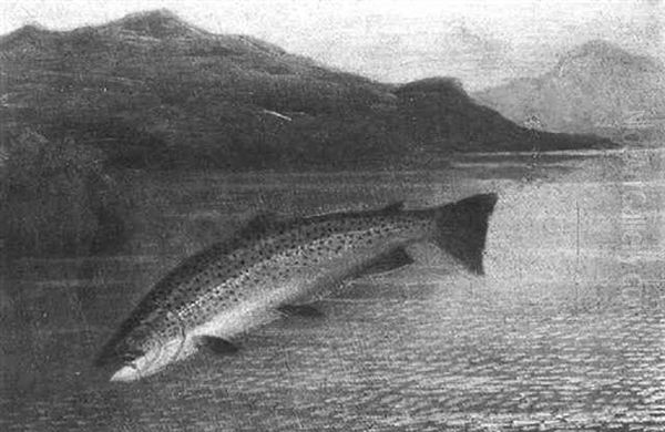Hooked Trout Leaping - view 1