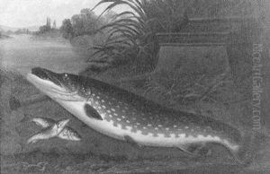Pike On A Reeded River Bank With Bait Kettle